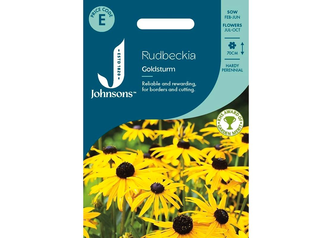 RUDBECKIA Goldsturm RUDBECKIA Goldsturm