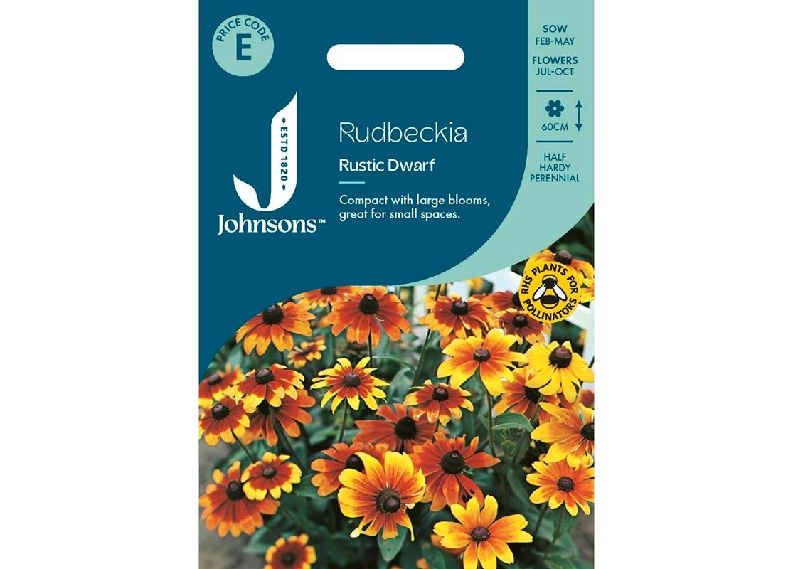 RUDBECKIA Rustic Dwarf RUDBECKIA Rustic Dwarf