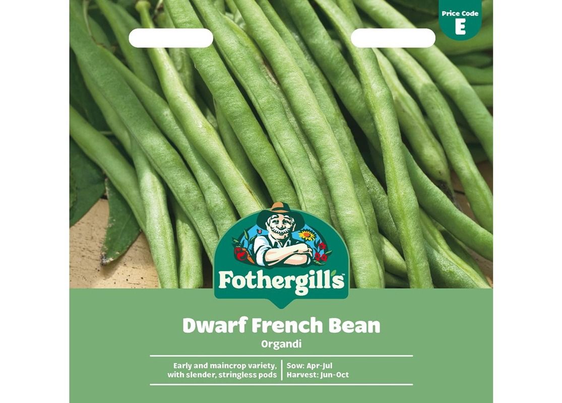 DWARF FRENCH BEAN Organdi DWARF FRENCH BEAN Organdi
