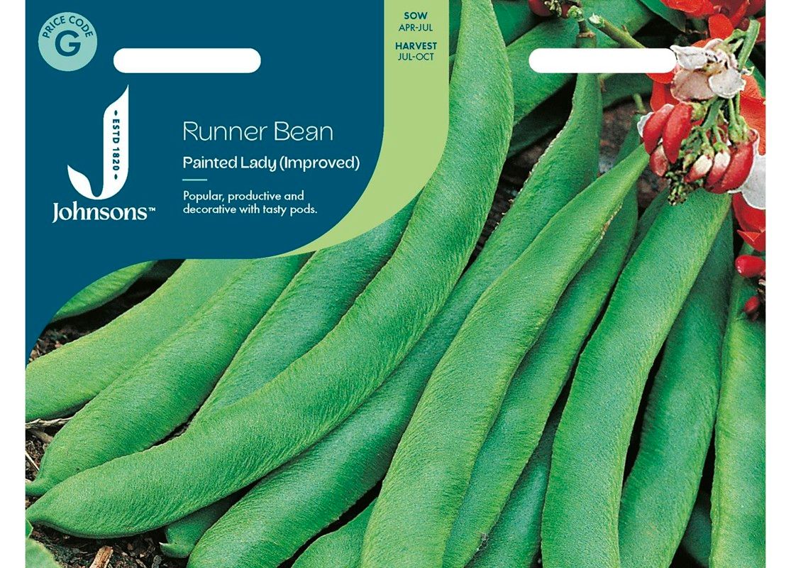 RUNNER BEAN Painted Lady (Improved)