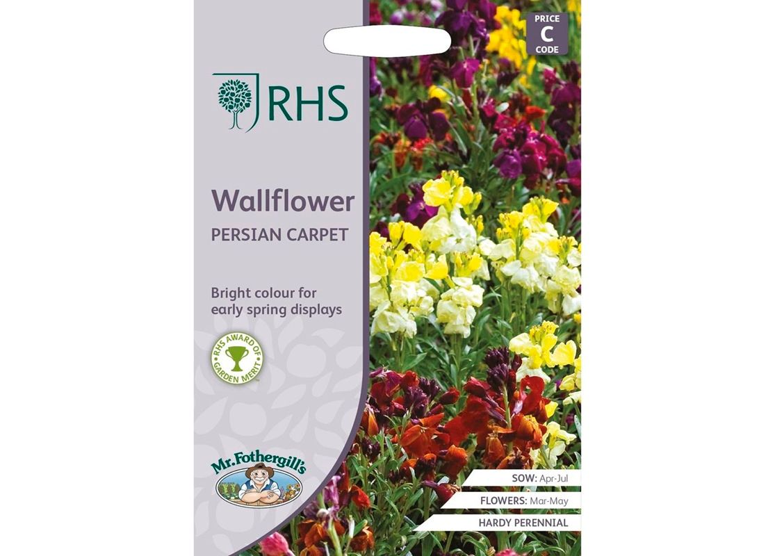 RHS WALLFLOWER Persian Carpet