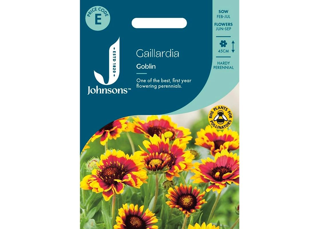 GAILLARDIA Goblin GAILLARDIA Goblin
