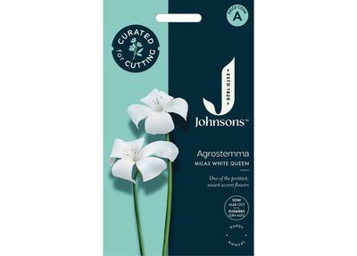 AGROSTEMMA Milas White Queen AGROSTEMMA Milas White Queen