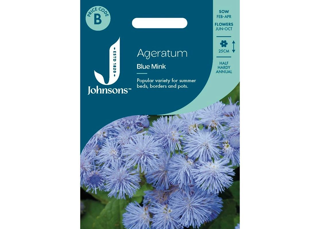 AGERATUM Blue Mink