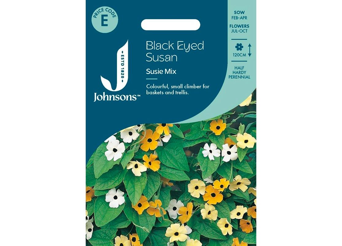 BLACK EYED SUSAN Susie Mix