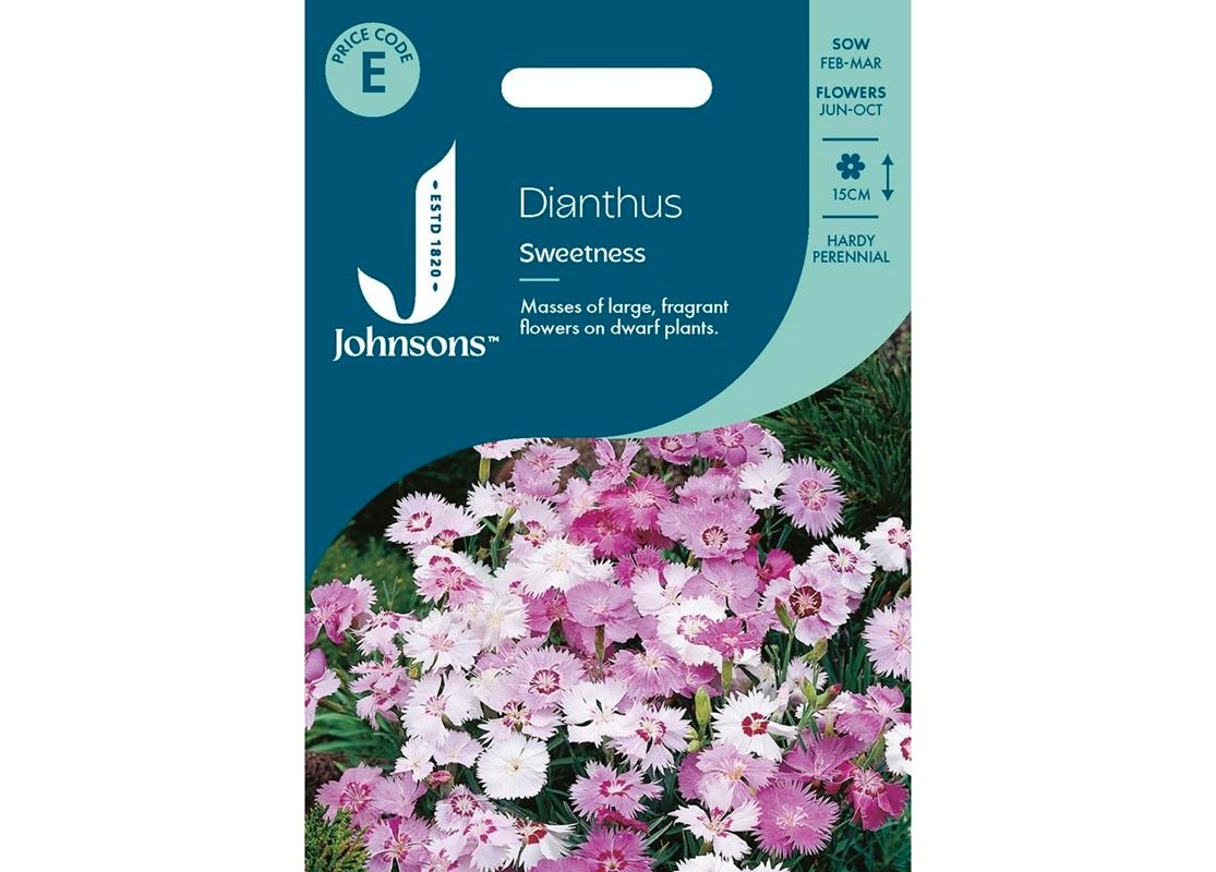 DIANTHUS Sweetness