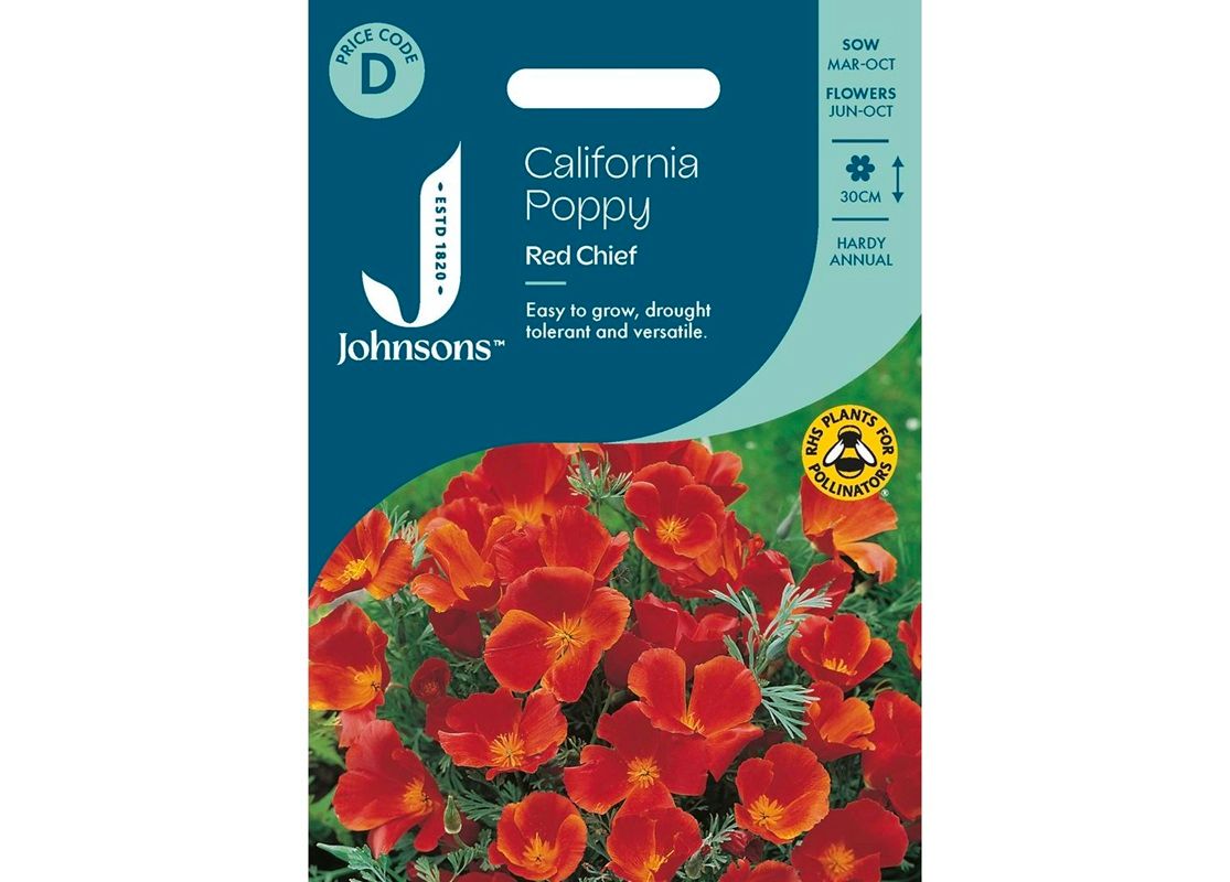 CALIFORNIA POPPY Red Chief CALIFORNIA POPPY Red Chief