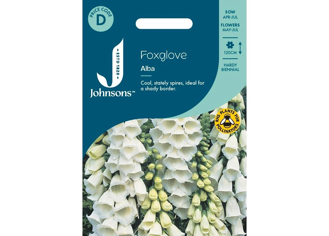 FOXGLOVE Alba