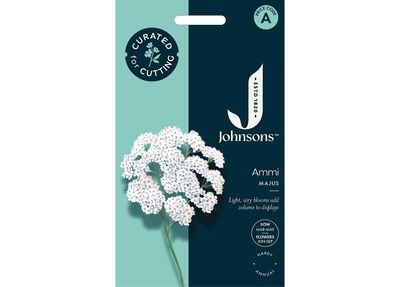 AMMI majus AMMI majus