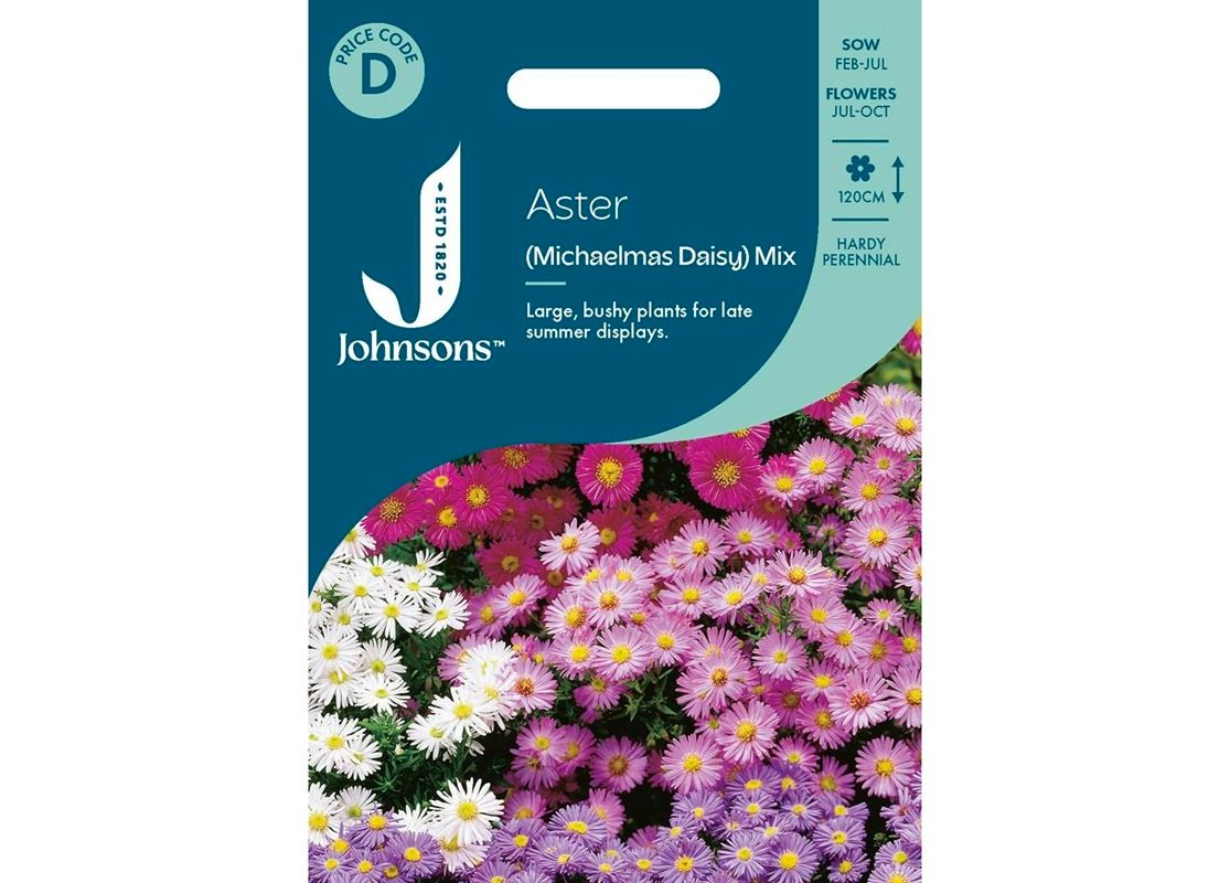ASTER (Michaelmas Daisy) Mix