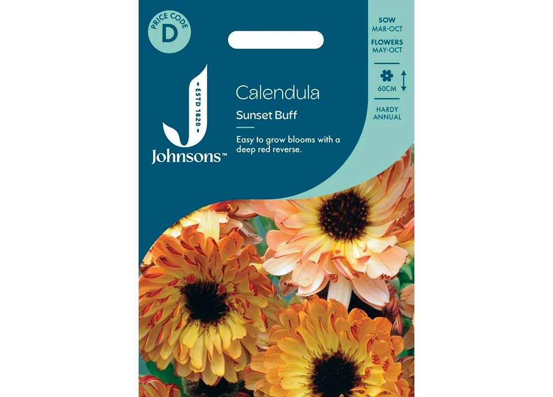 CALENDULA Sunset Buff CALENDULA Sunset Buff