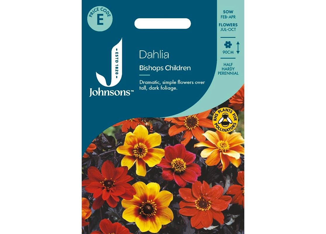 DAHLIA Bishops Children