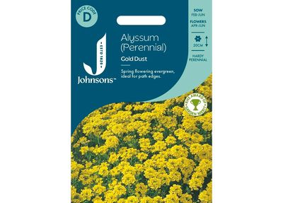 ALYSSUM (Perennial) Gold Dust ALYSSUM (Perennial) Gold Dust