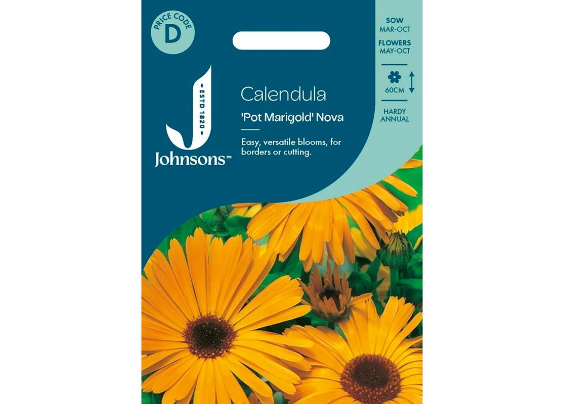 CALENDULA Pot Marigold Nova 