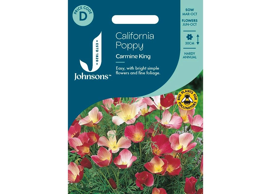 CALIFORNIA POPPY Carmine King