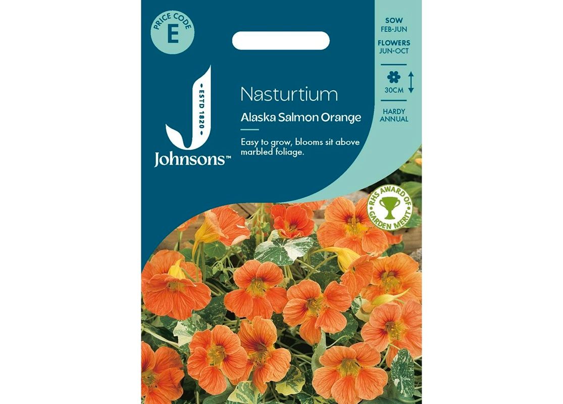 NASTURTIUM Alaska Salmon Orange