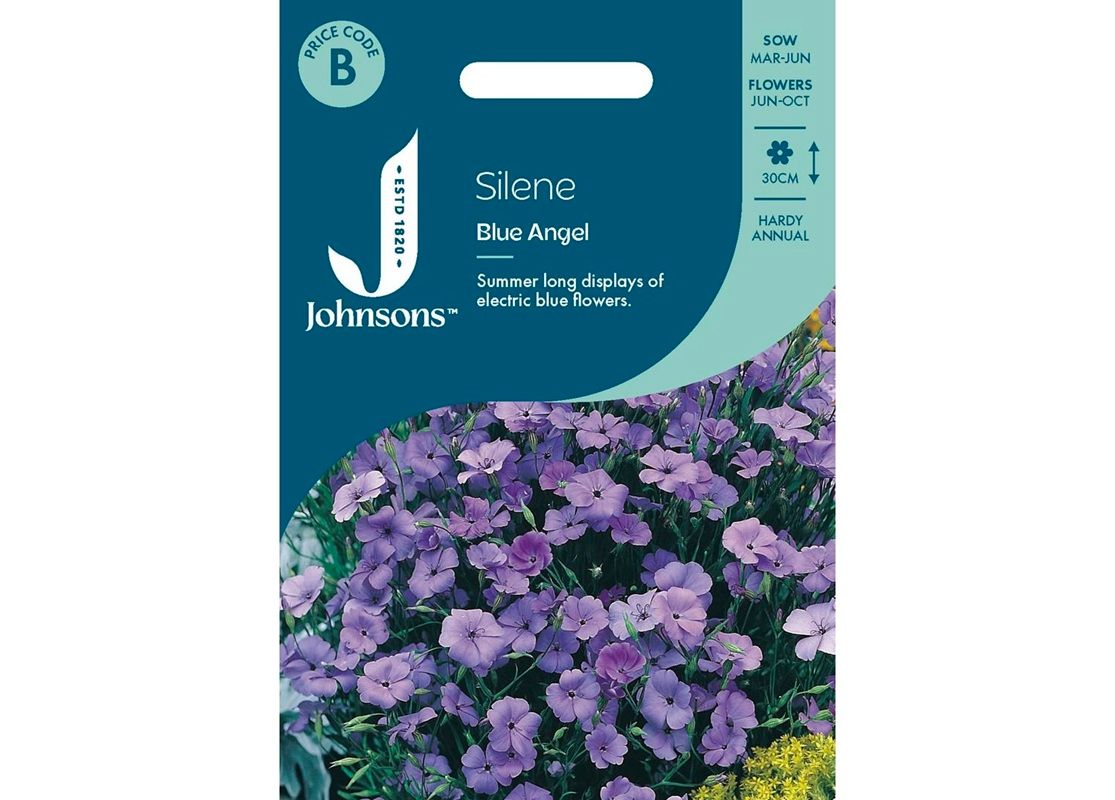 SILENE Blue Angel
