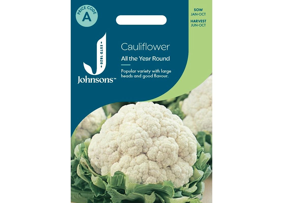CAULIFLOWER All The Year Round