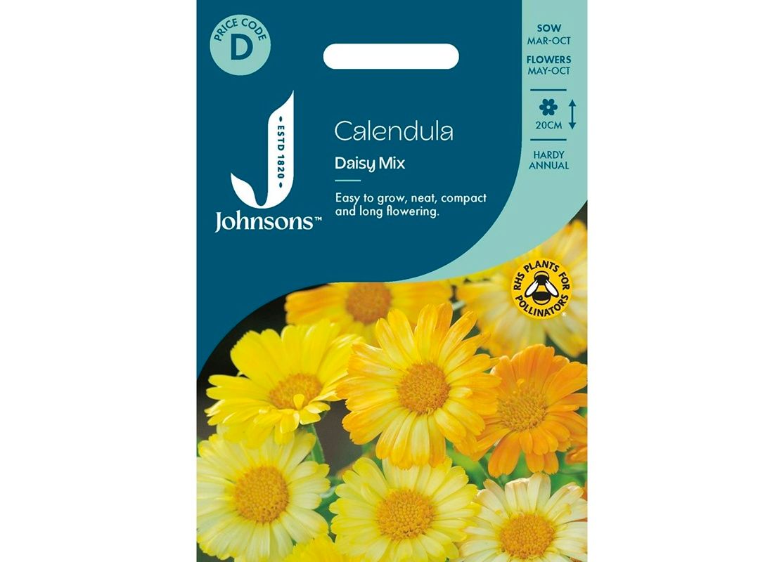 CALENDULA Daisy Mix