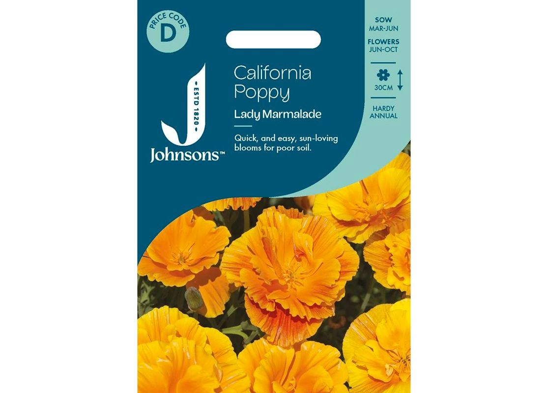 CALIFORNIA Poppy Lady Marmalade CALIFORNIA Poppy Lady Marmalade
