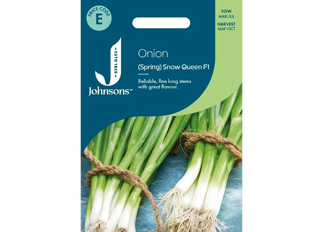 ONION (Spring) Snow Queen F1