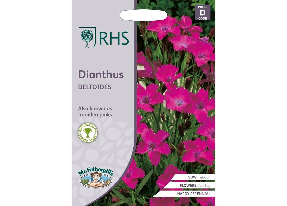 RHS DIANTHUS deltoides