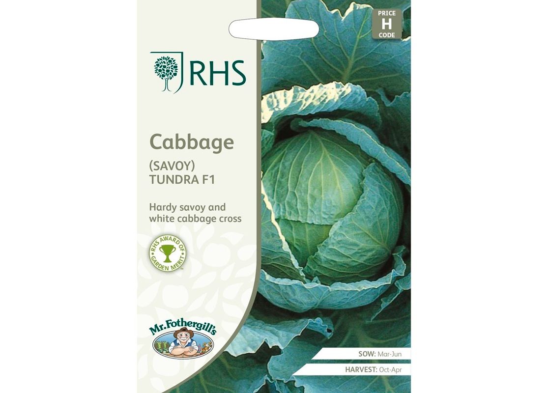 RHS CABBAGE (Savoy) Tundra F1 RHS CABBAGE (Savoy) Tundra F1