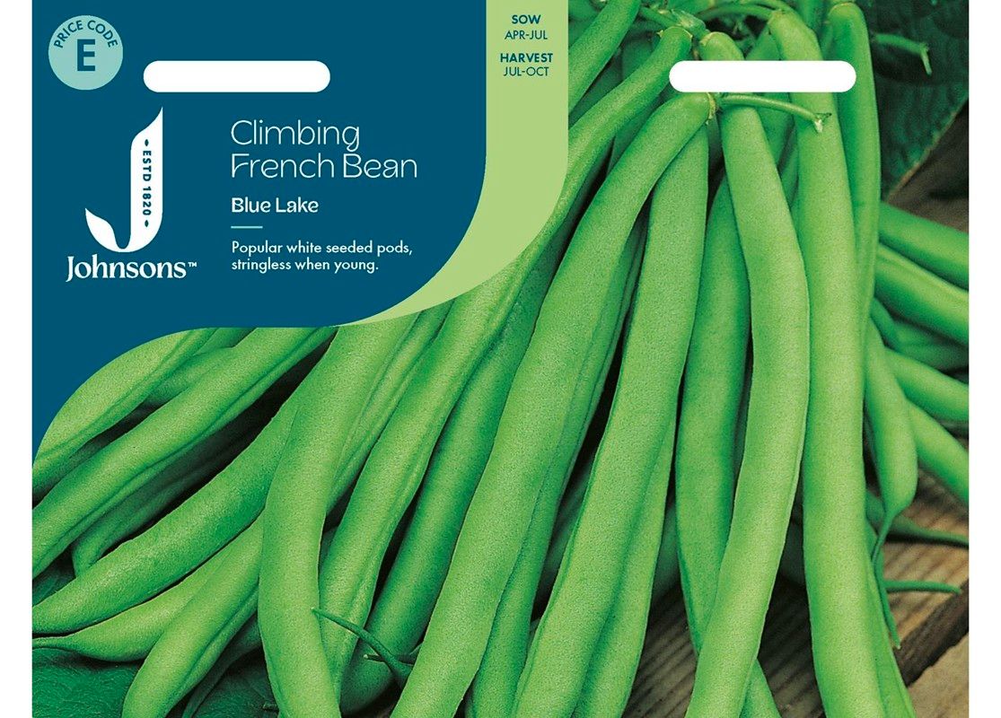 CLIMBING FRENCH BEAN Blue Lake
