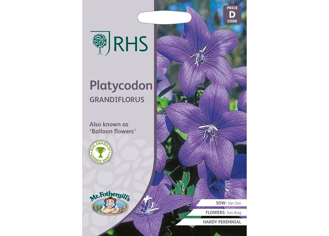 RHS PLATYCODON grandiflora