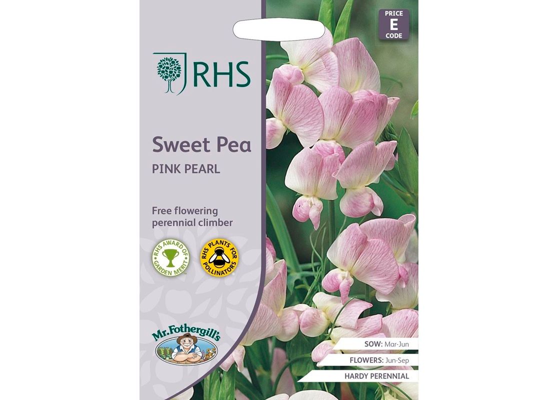 RHS SWEET PEA Pink Pearl RHS SWEET PEA Pink Pearl