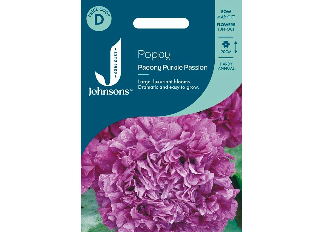 POPPY Paeony Purple Passion