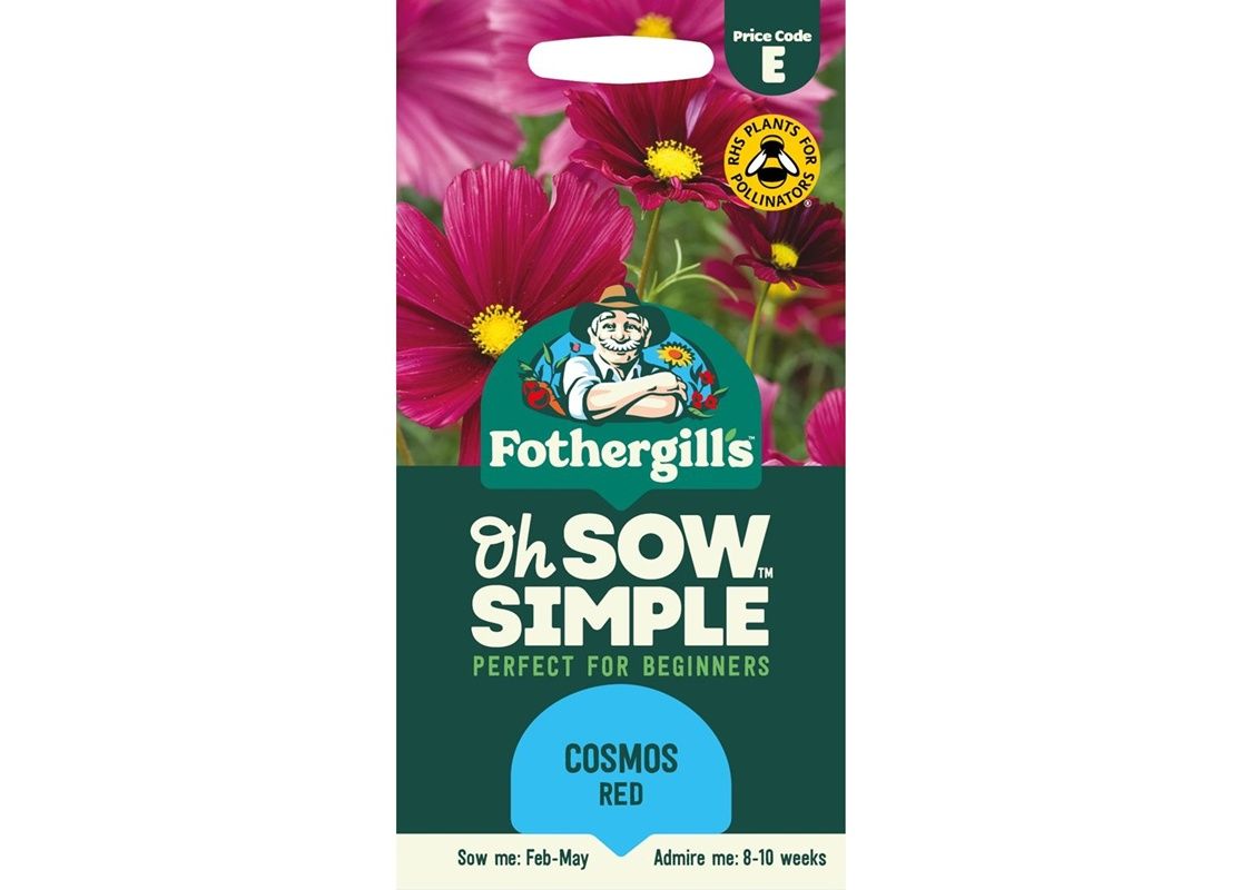 COSMOS Rubenza COSMOS Rubenza