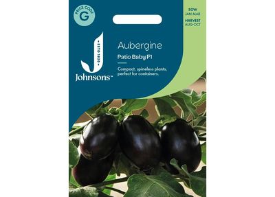 AUBERGINE Patio Baby F1