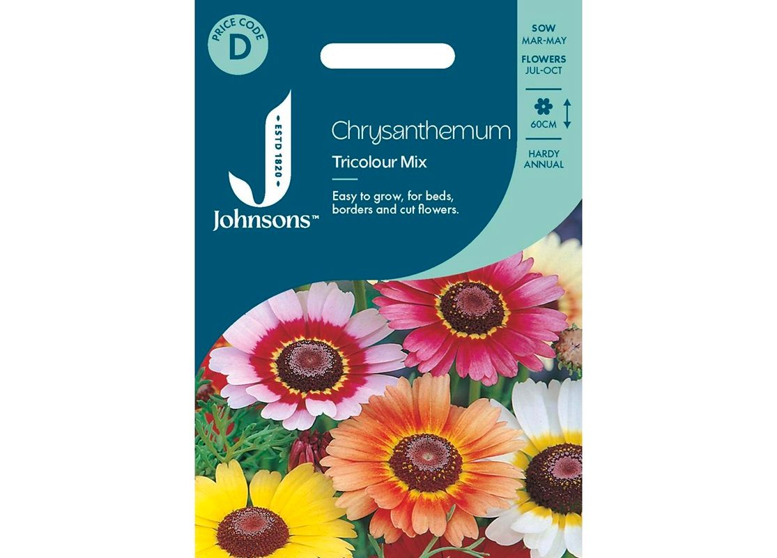 CHRYSANTHEMUM Tricolour Mix