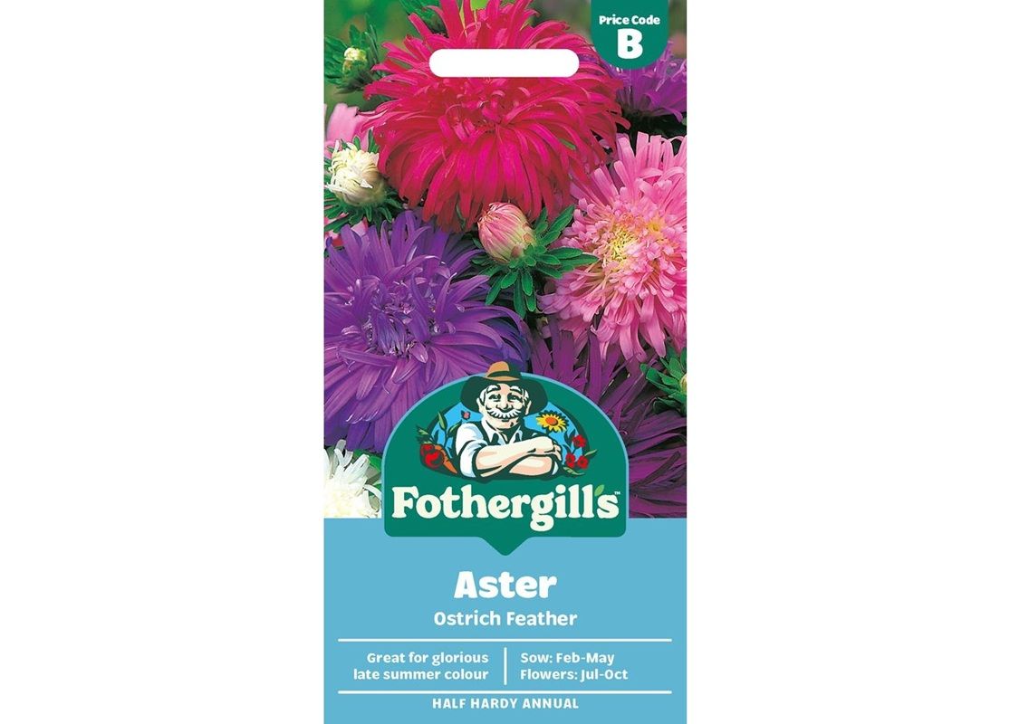 ASTER Ostrich Feather