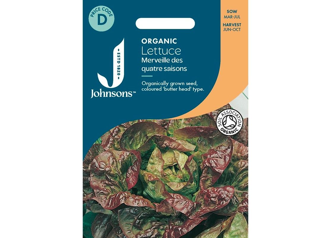 LETTUCE Merveille des quatre saisons ORG LETTUCE Merveille des quatre saisons ORG