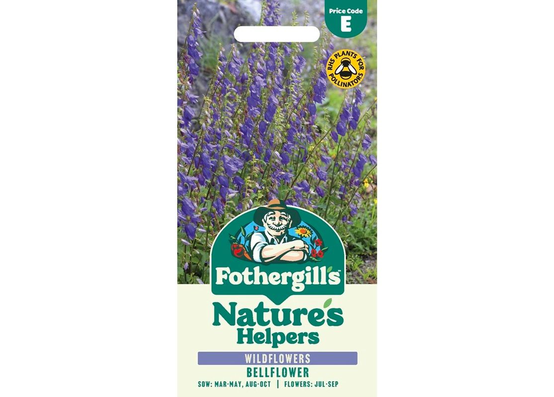 Bellflower Bellflower