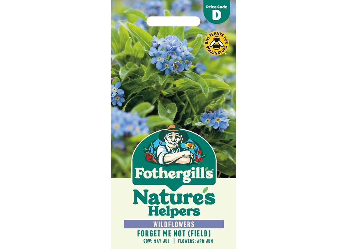 Forget me not (Field)