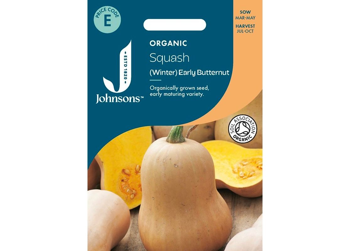 SQUASH (Winter) Early Butternut ORG