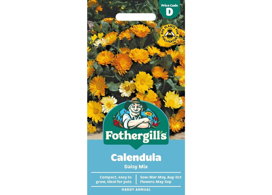 CALENDULA Daisy Mix CALENDULA Daisy Mix