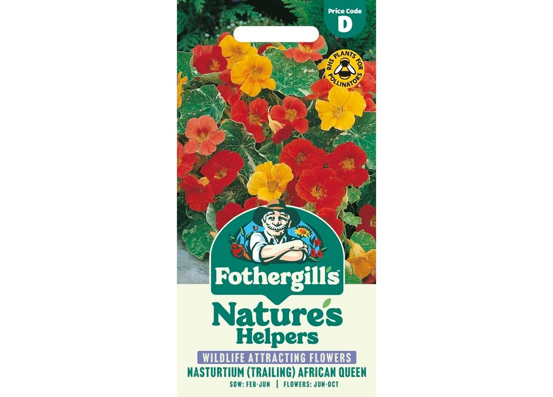 NASTURTIUM (Trailing) African Queen