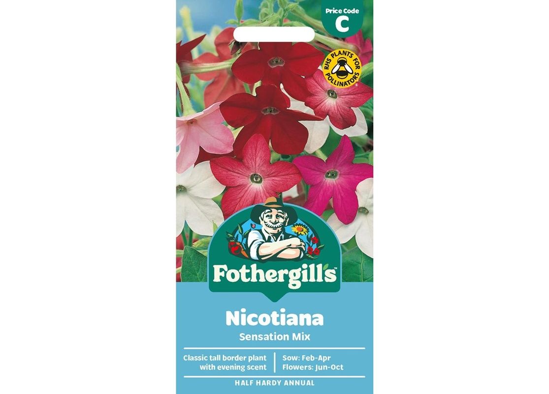 NICOTIANA Sensation Mix
