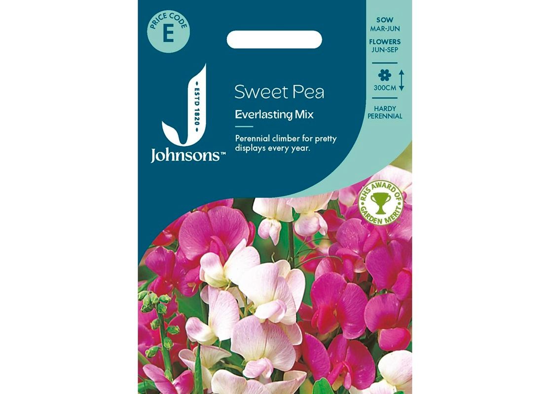 SWEET PEA Everlasting Mix 