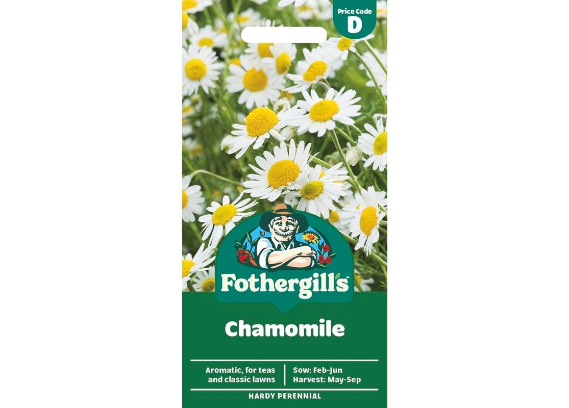 CHAMOMILE CHAMOMILE