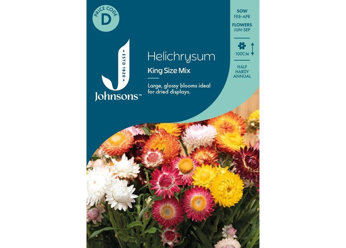 HELICHRYSUM King Size Mix