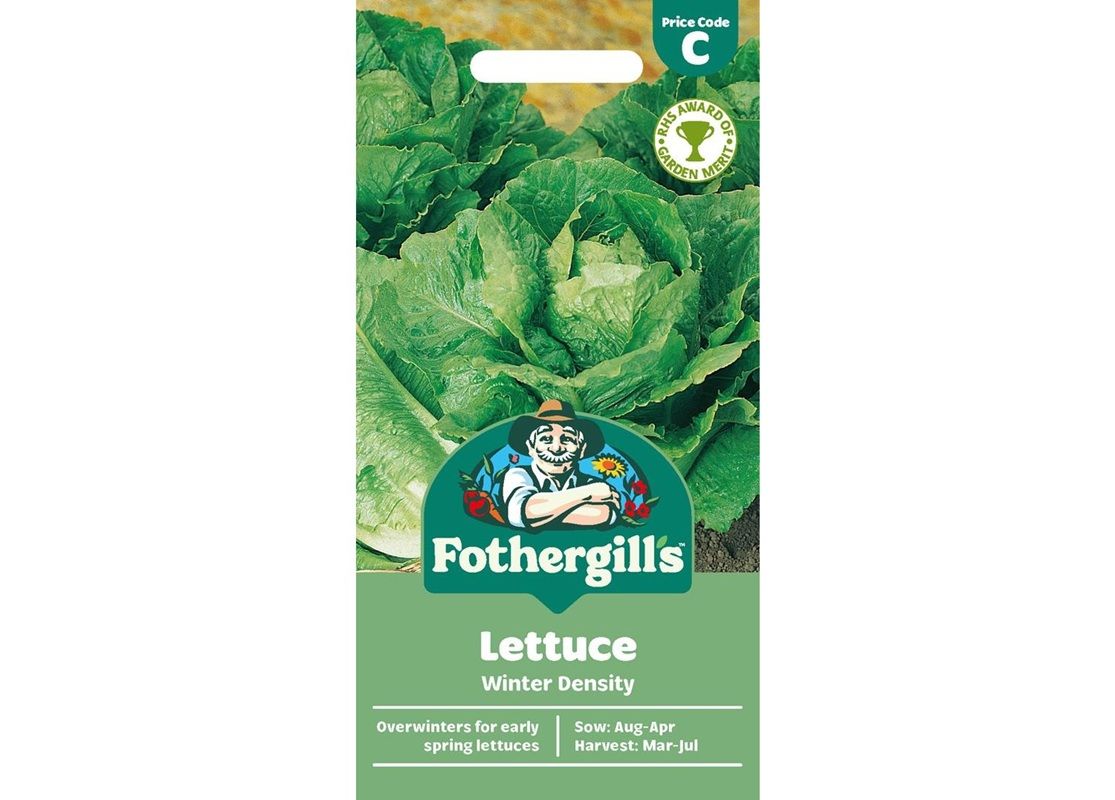 LETTUCE Winter Density LETTUCE Winter Density