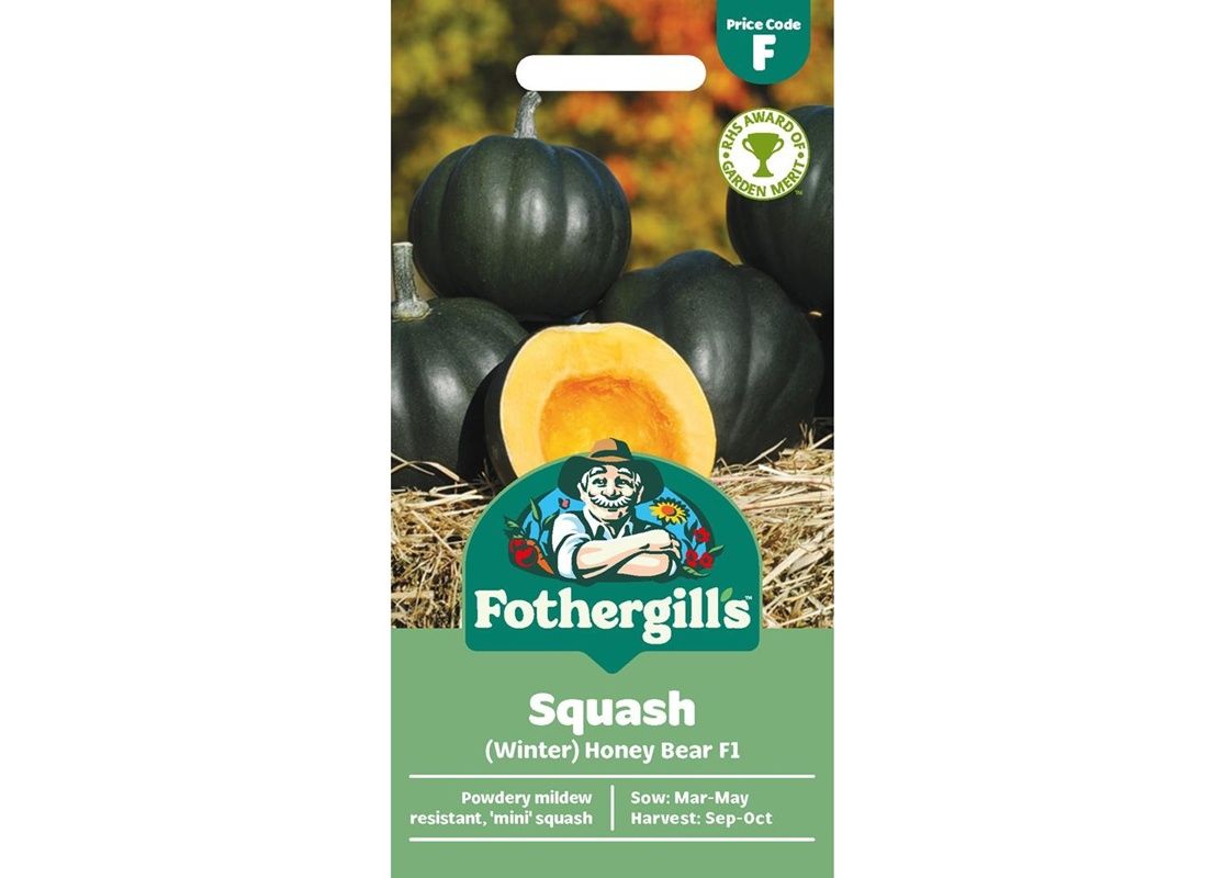SQUASH (Winter) Honey Bear F1