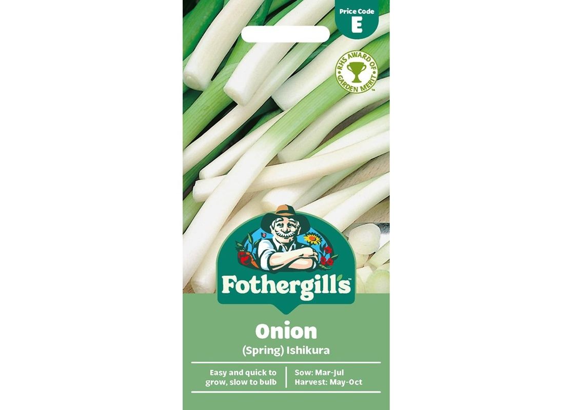 ONION (Spring) Ishikura ONION (Spring) Ishikura