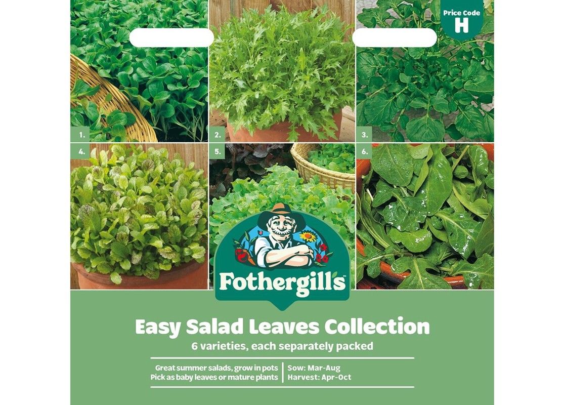 EASY SALAD LEAVES