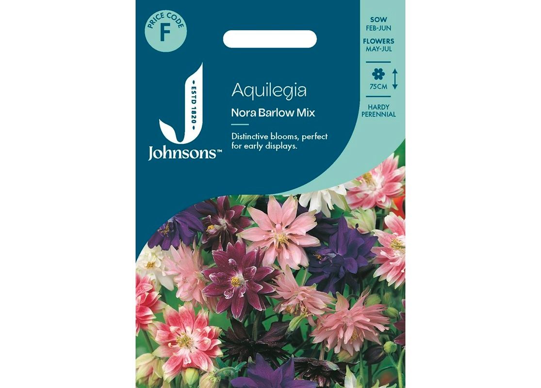 AQUILEGIA Nora Barlow Mix